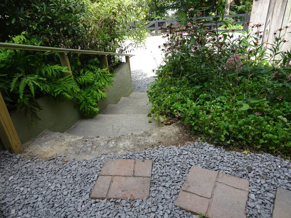 Stairs in summer