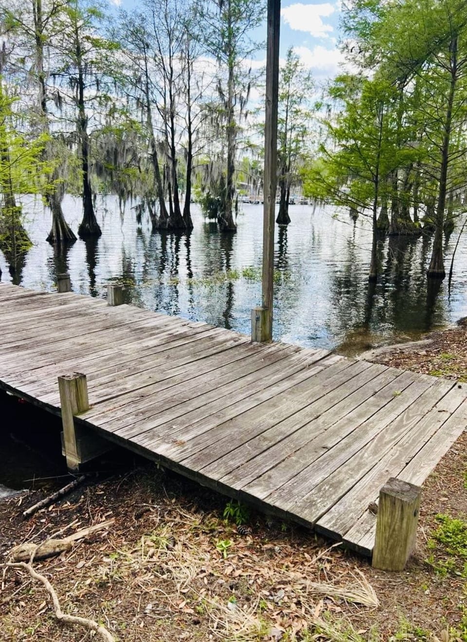 Dock directly outside the cabin