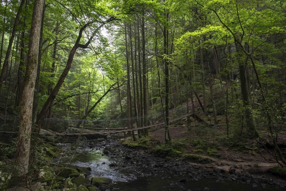 Shea's Chalet - Cozy home in Monteagle, TN (2491)