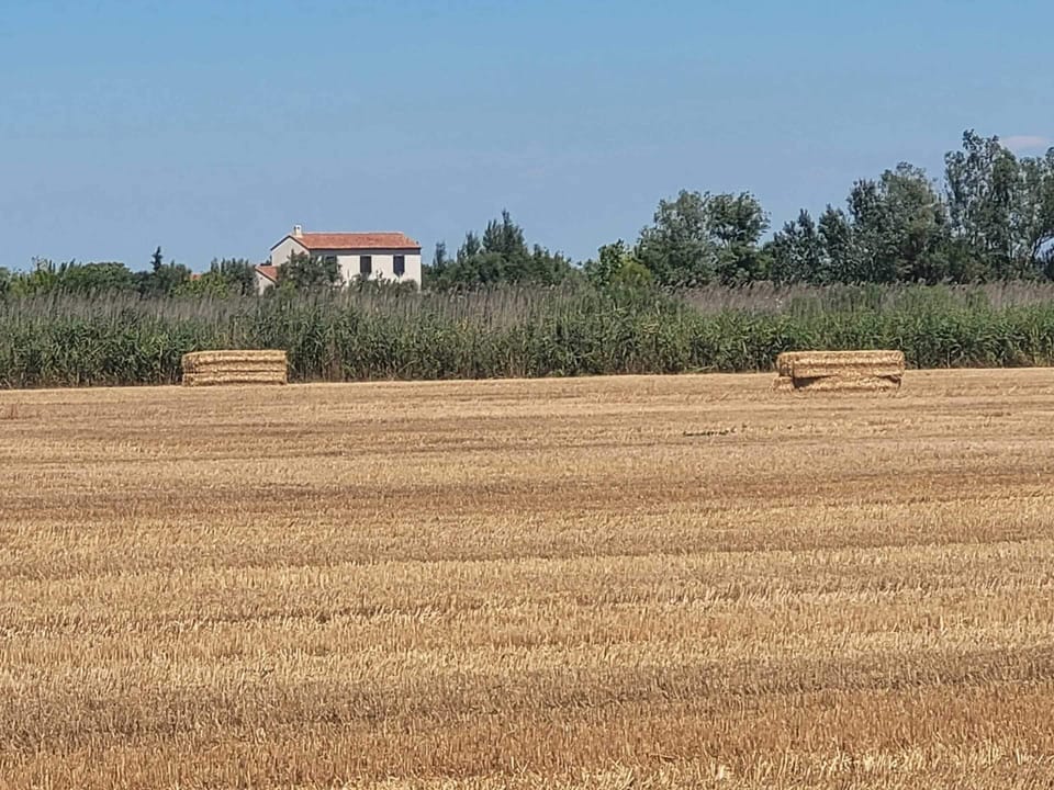 Surroundings