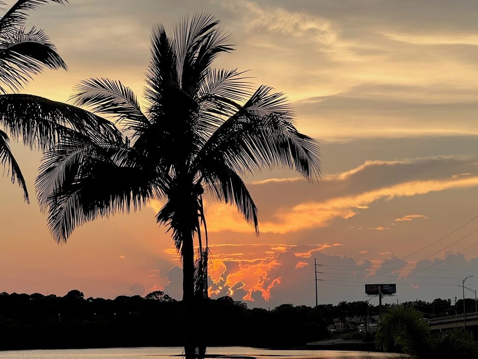 paradise from your patio doors