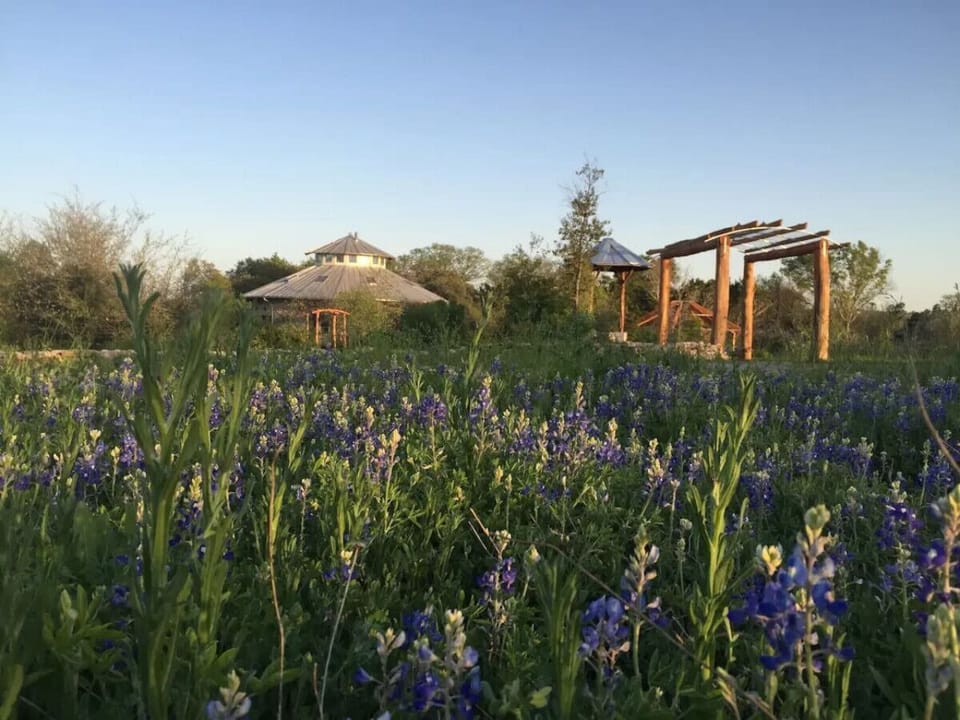 Relax and enjoy the surrounding nature