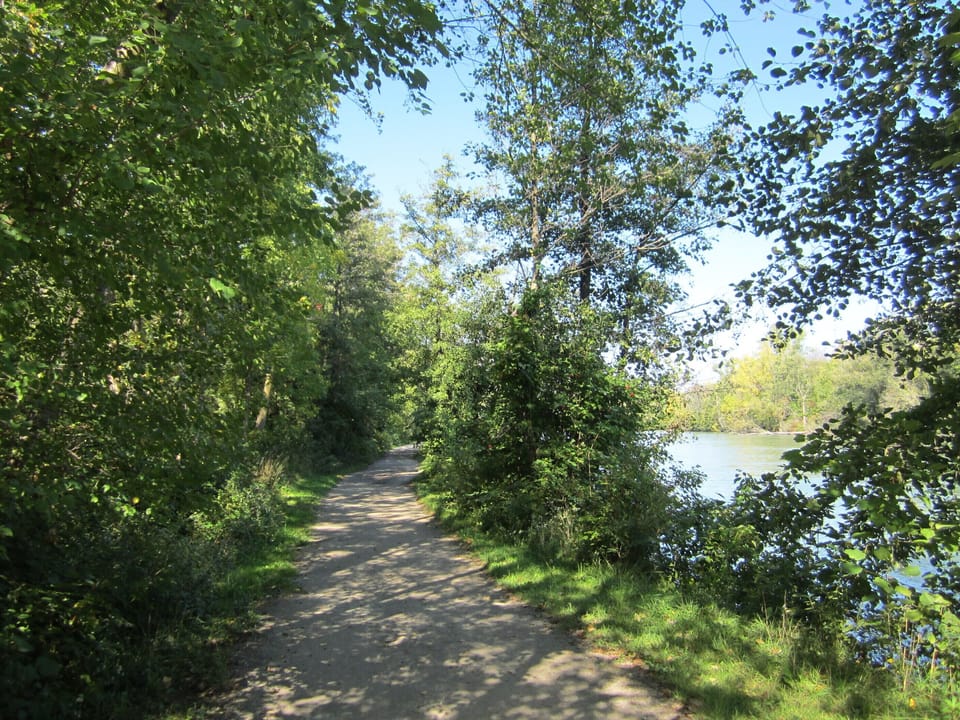 Trail