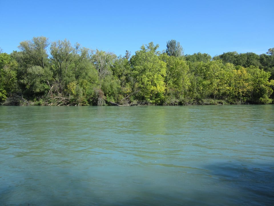 Twelve Mile Creek