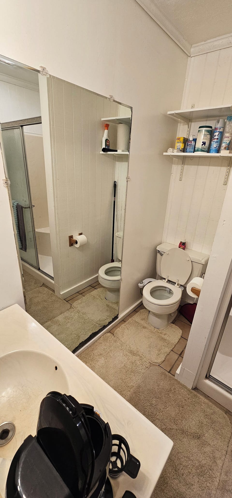 That HUGE mirror! Great for makeup!
Bidet, lots of starter cleaning supplies. 