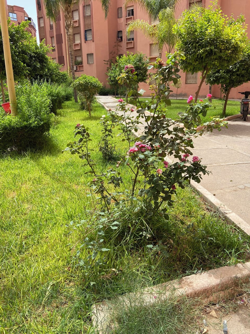 Property grounds