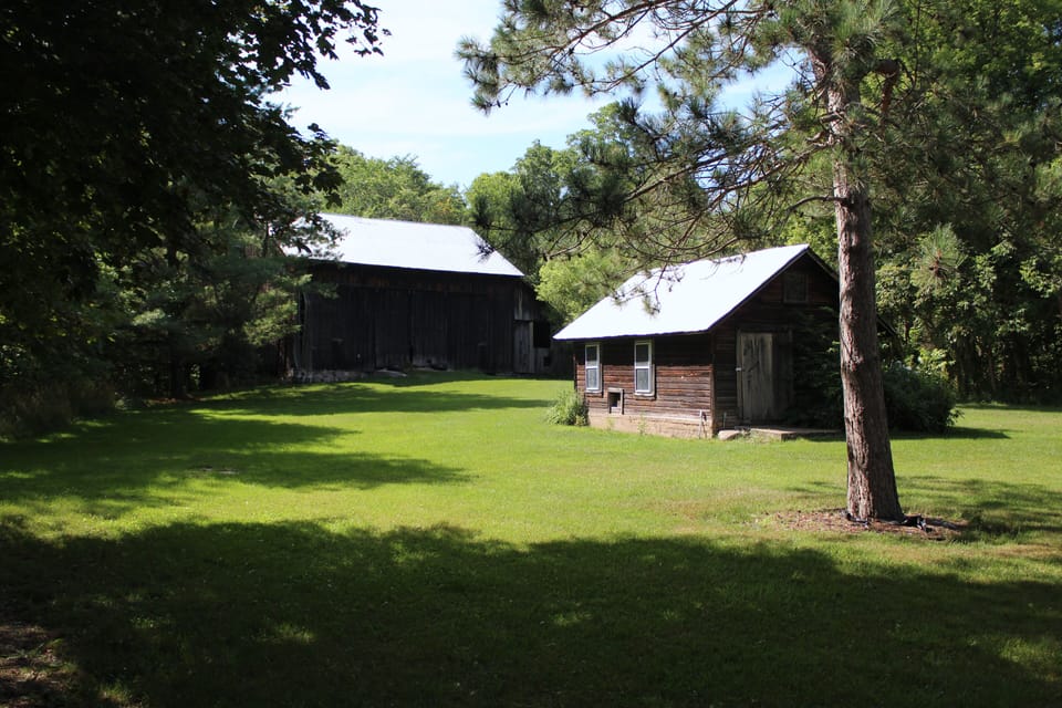 The backyard.