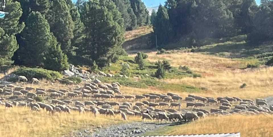 Mountain view
