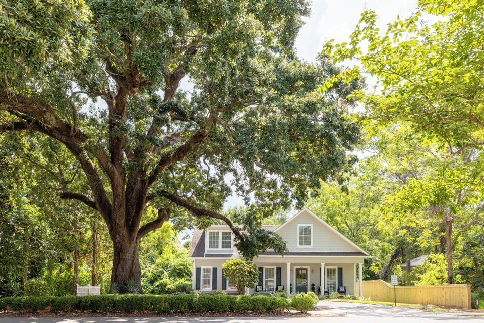 Exterior Sanctuary: Relax on the porch and soak in the shade of towering live oaks.