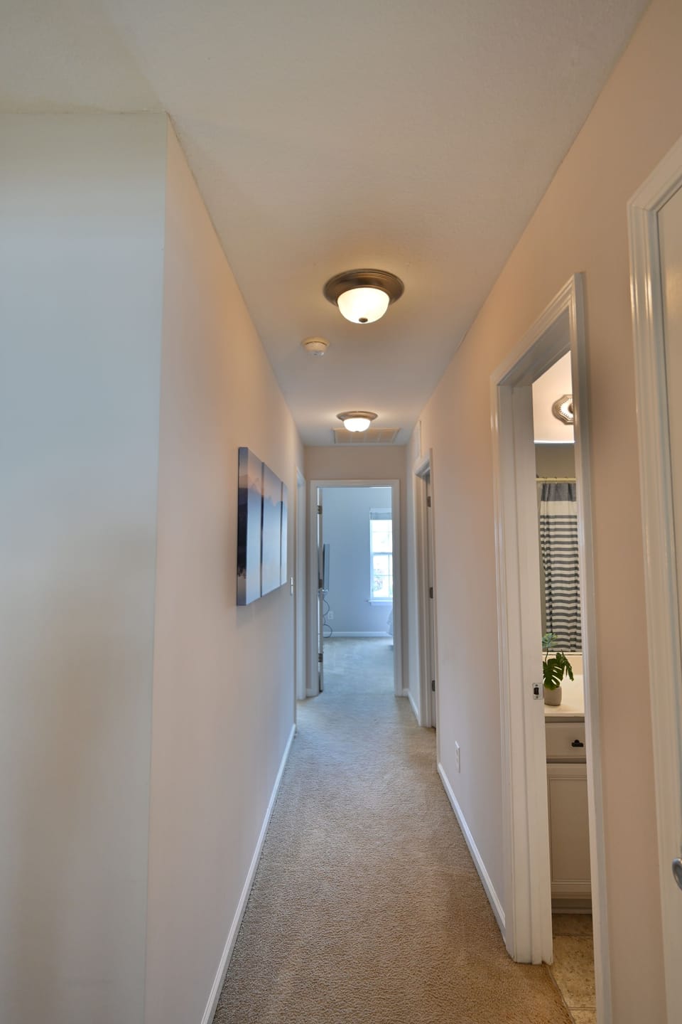 Bright hallway with soft carpet leads to sunlit rooms and cozy transitions