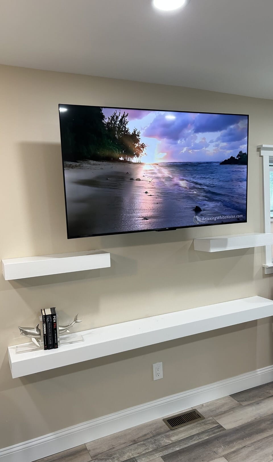 Television