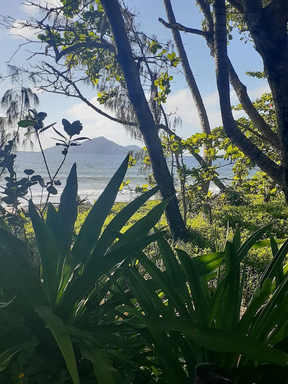 Mornings at Mission, where Dunk Island rises from the ocean