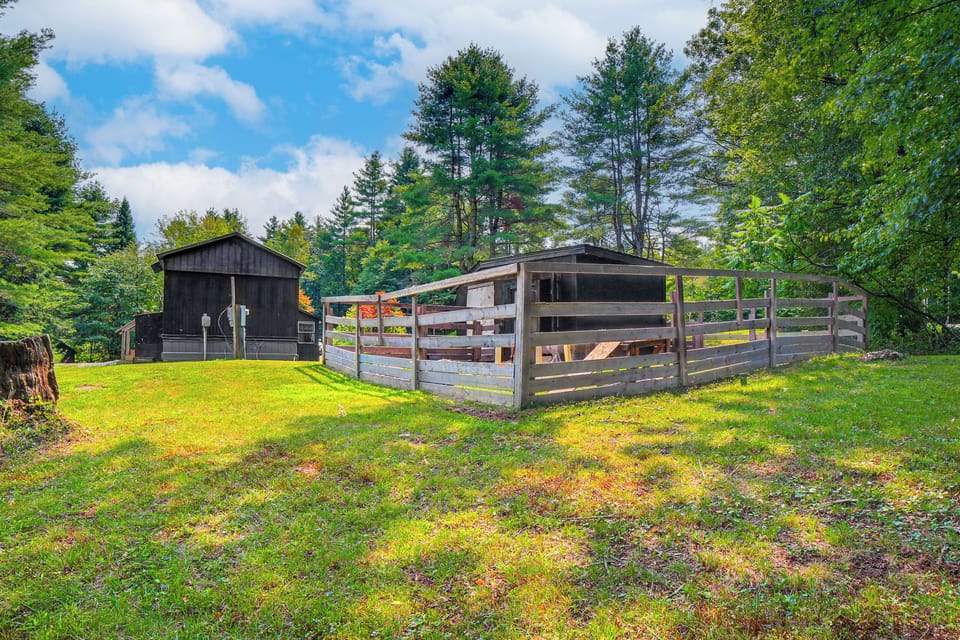 Wooded Yard | On-Site Goats