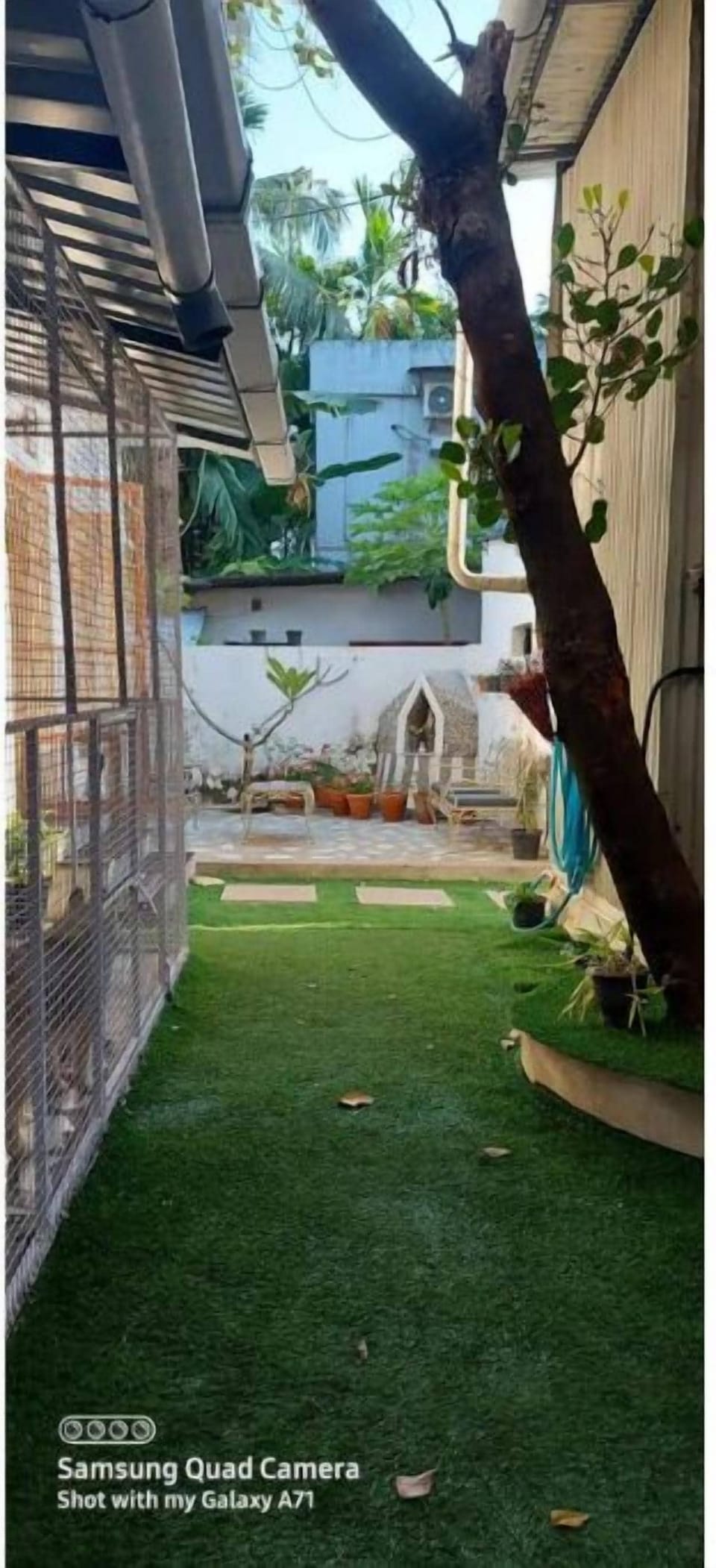 Property grounds