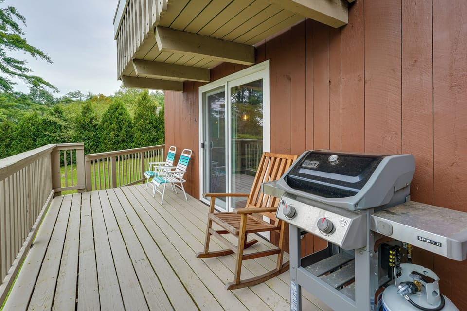 Gas Grill