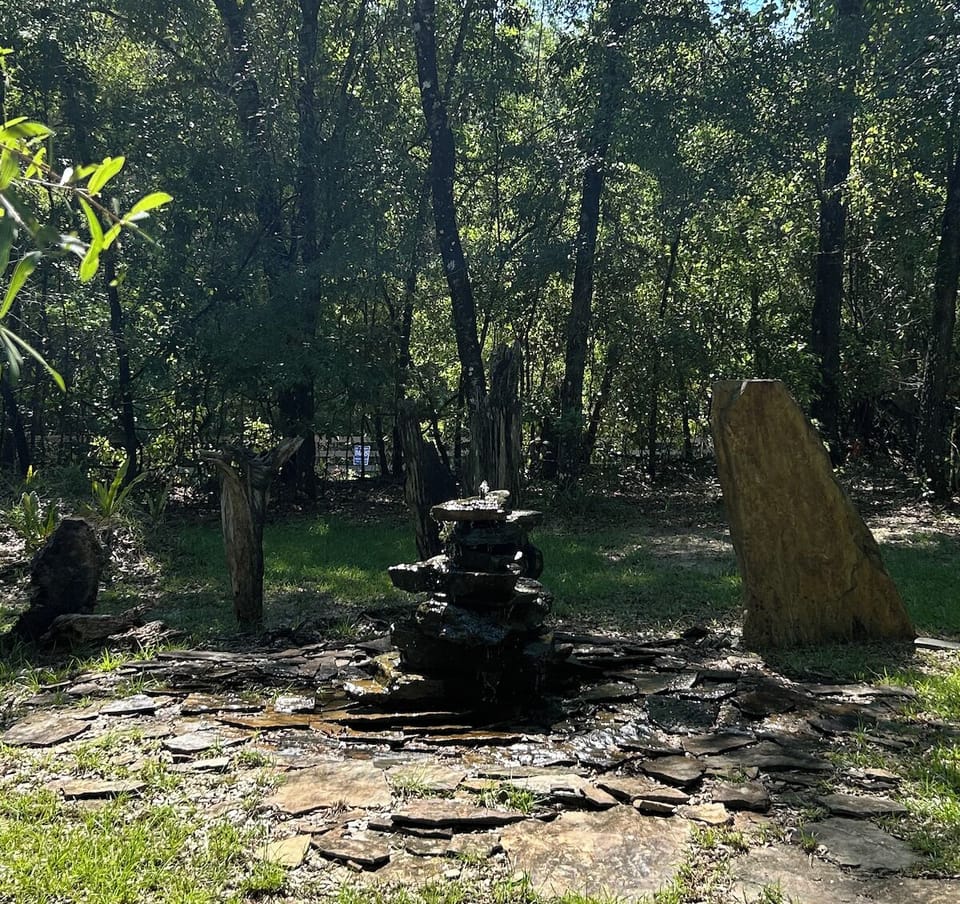 View from the front porch