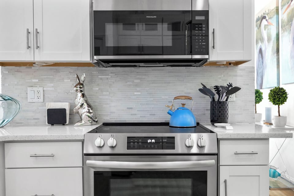 Stainless steel electric stove and oven