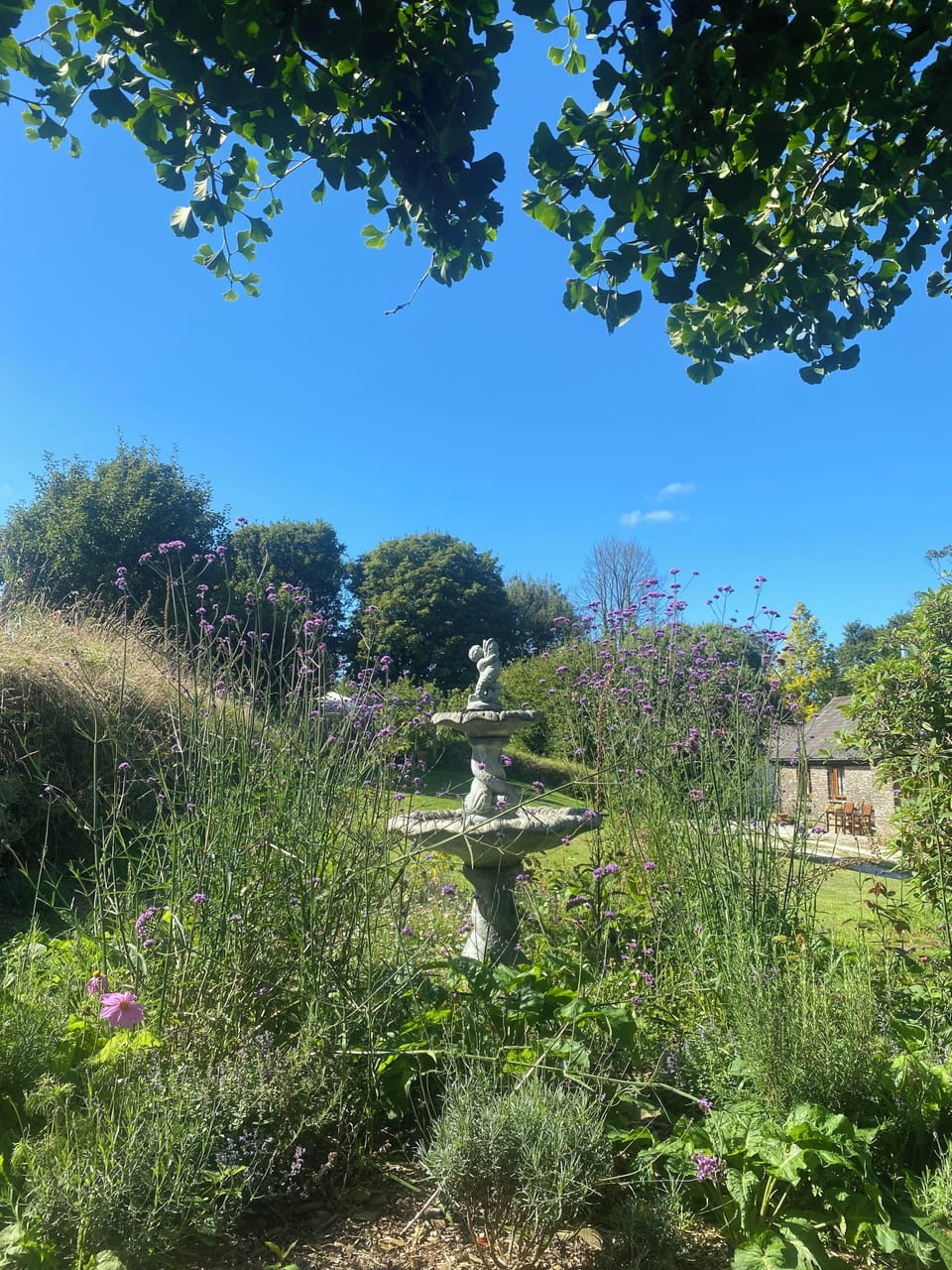 Expansive areas for exploring in the garden