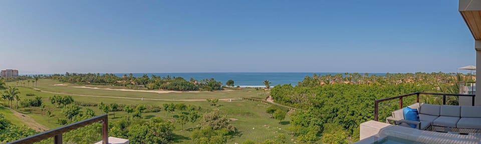 Primary View