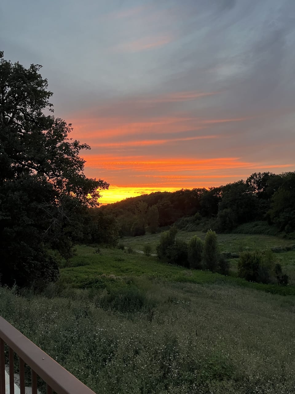 View from property