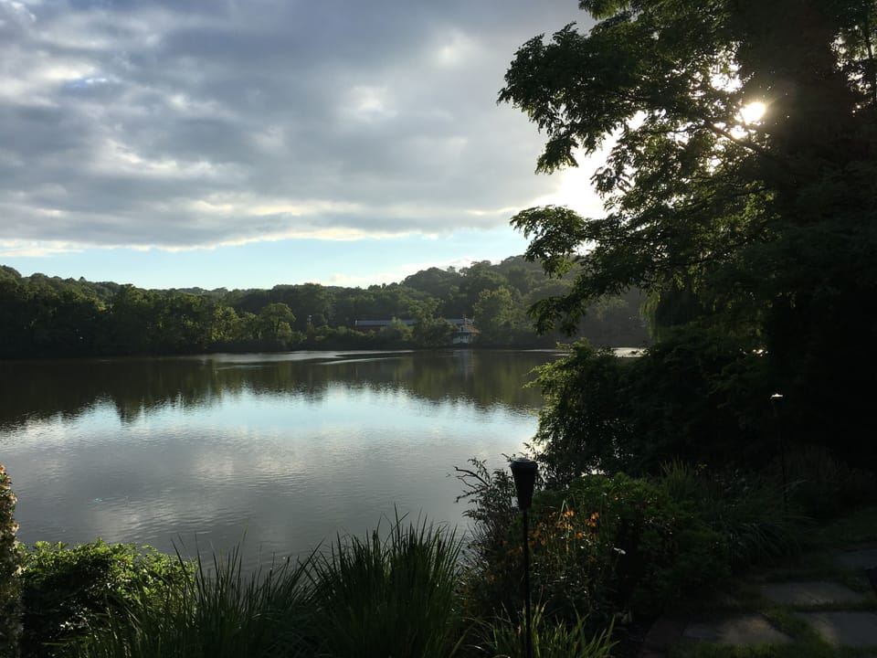 View from the patio