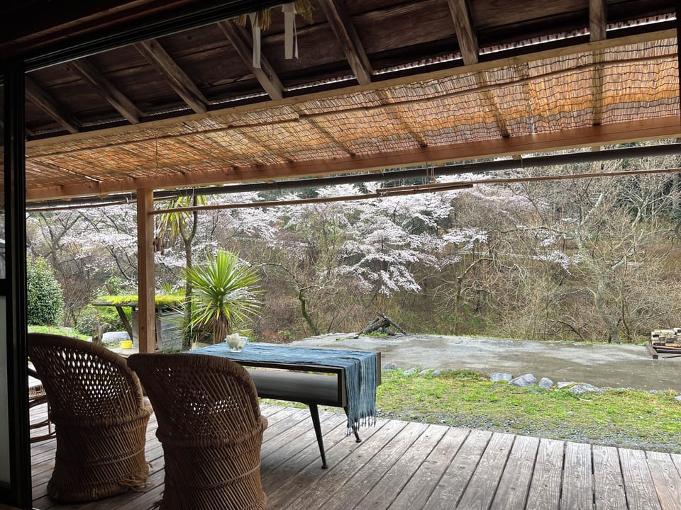 客室前のウッドデッキ。春には部屋から桜が見える。