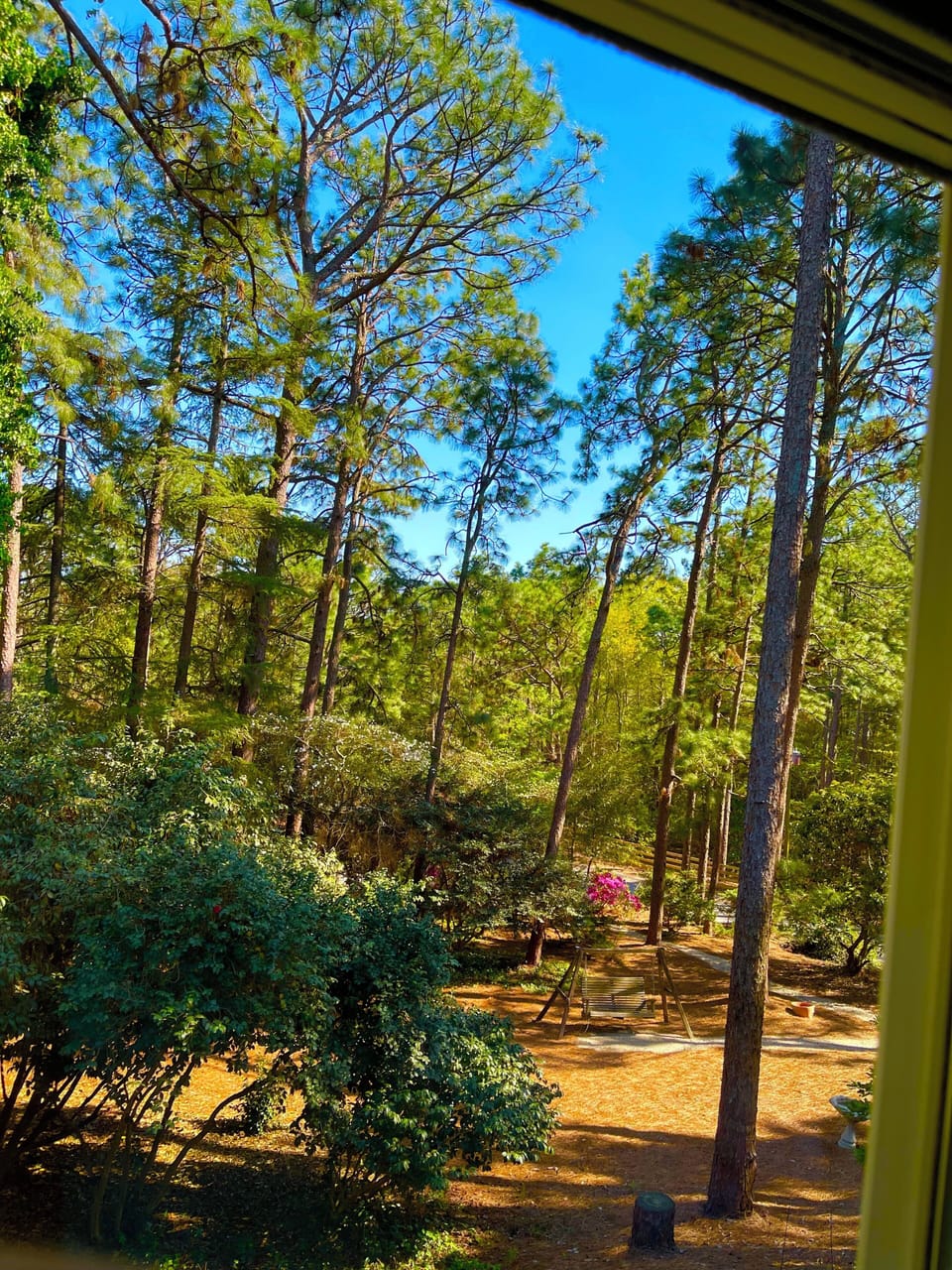 View from property