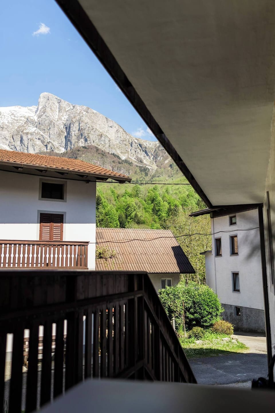 view