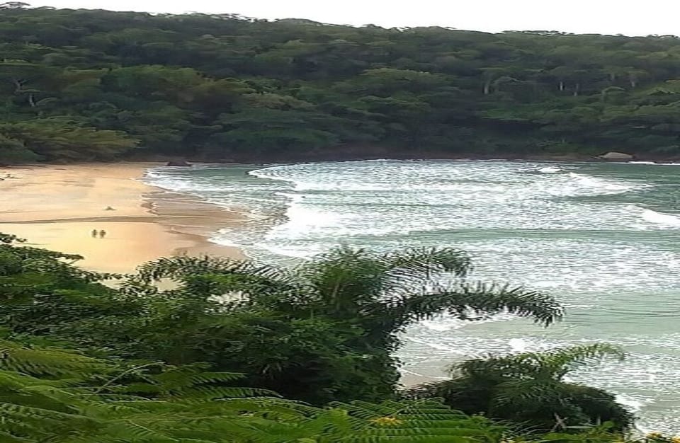 Praia Brava, dá para ir a pé. Uma trilha lindíssima.