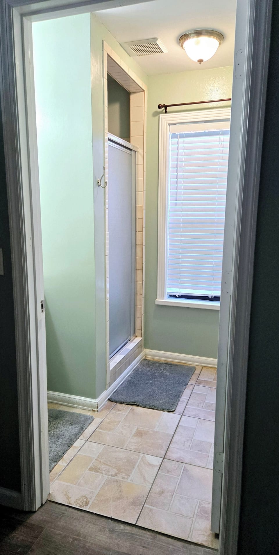 Bathroom shower (standing only)