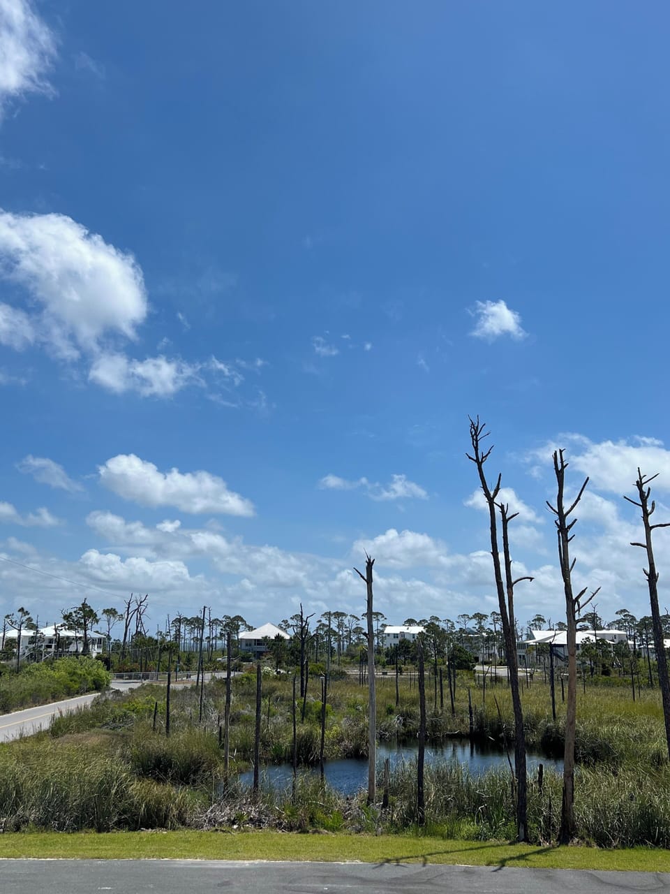 Marsh and bay view from front porch.
