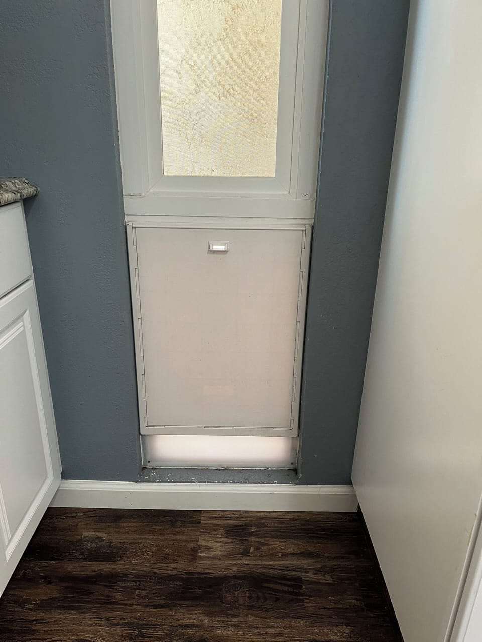 Doggie door to front yard from kitchen