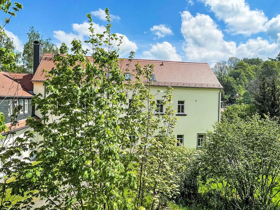 Sky, Plant, Building, Window, Tree, Wood, Land Lot, Cottage, House, Landscape