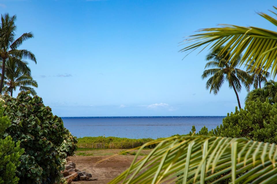 Peaceful palms and ocean blues set the scene—this tranquil view from your Airbnb invites total island calm    