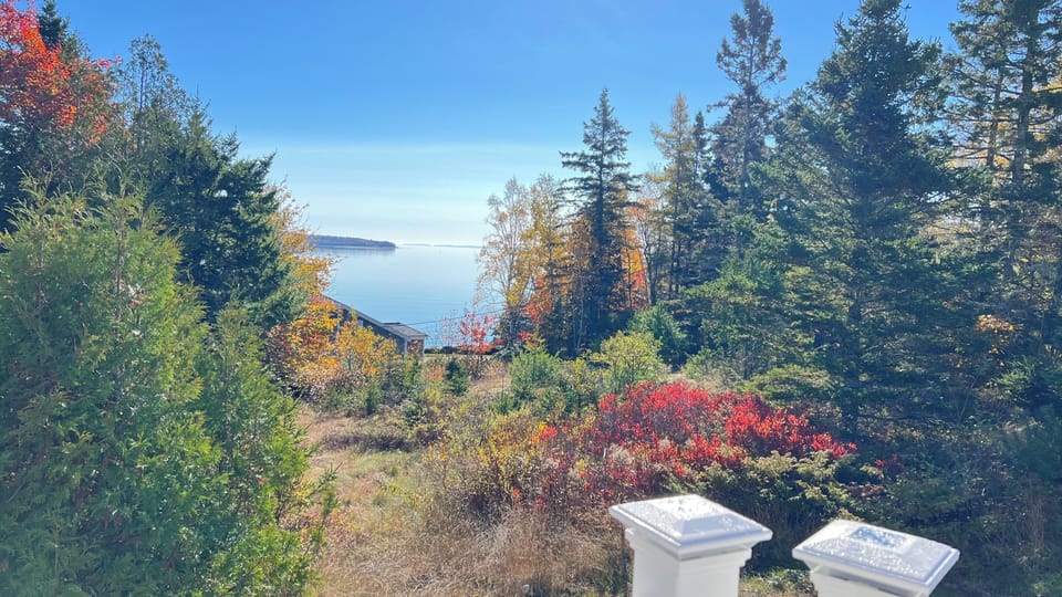 View from property