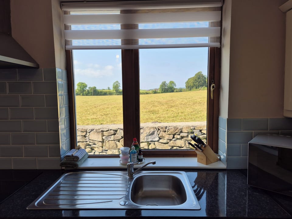 View from the kitchen sink!