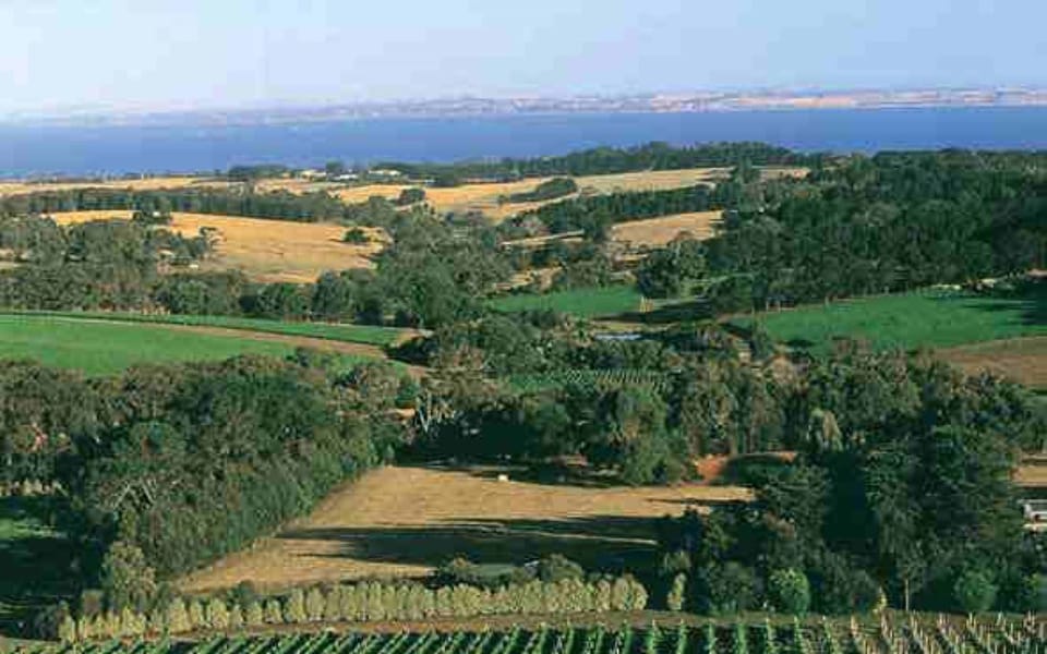 Red Hill Estate Winery