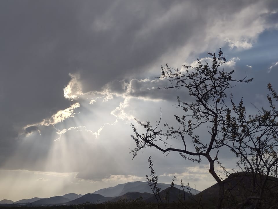 IMG 20230628 174651342 HDR