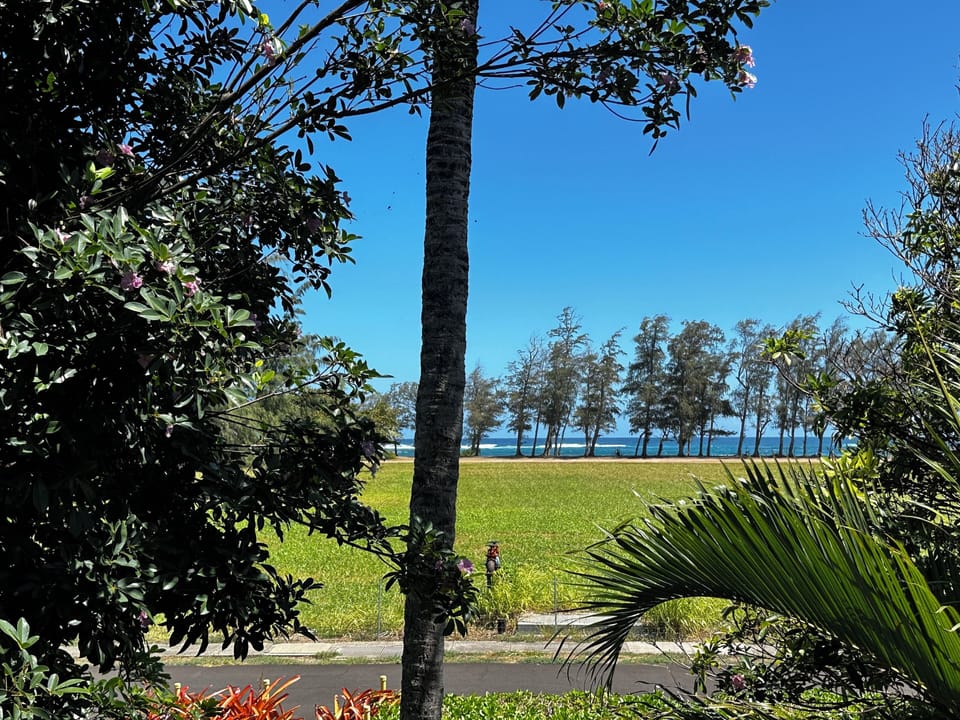Ocean view from our lanai