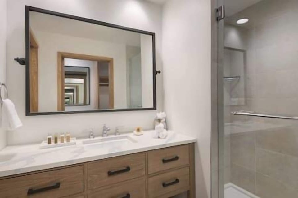 Enjoy a spa-like rinse in the bright, modern shower.