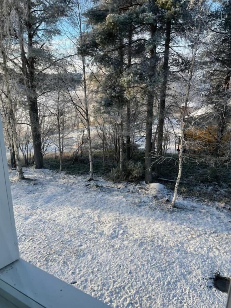 Window view