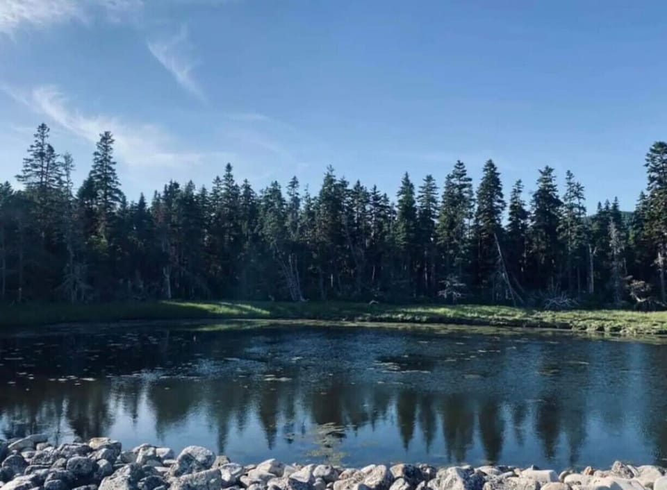 Scenes from Acadia National Park