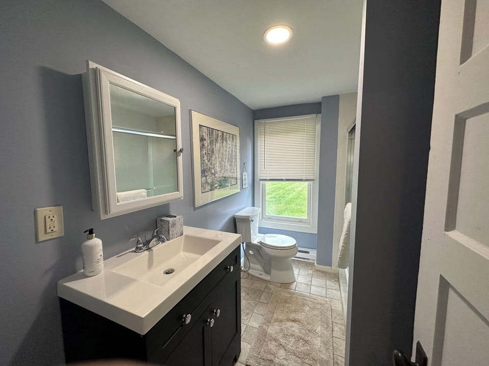 Downstairs Bathroom One