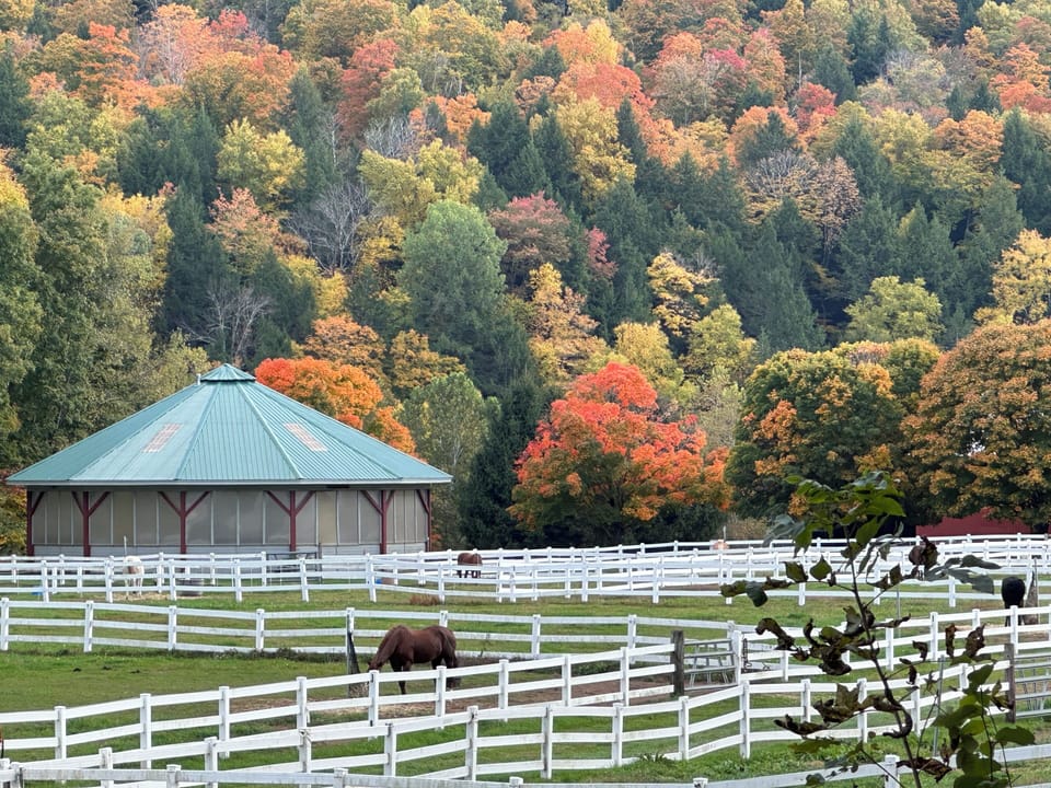 Winchester Stables Round Ring