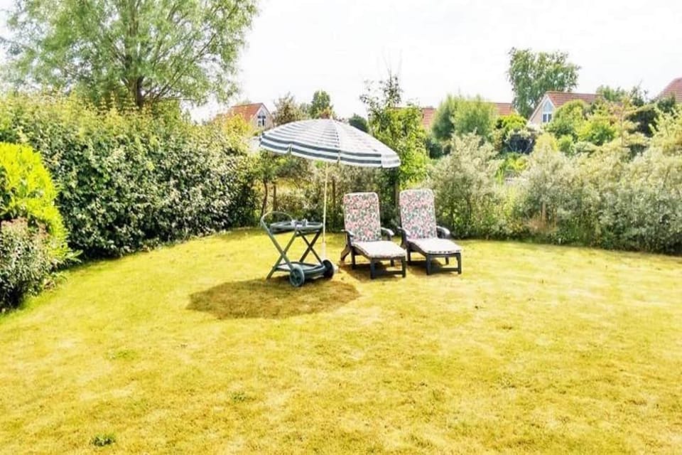 Garden [summer]