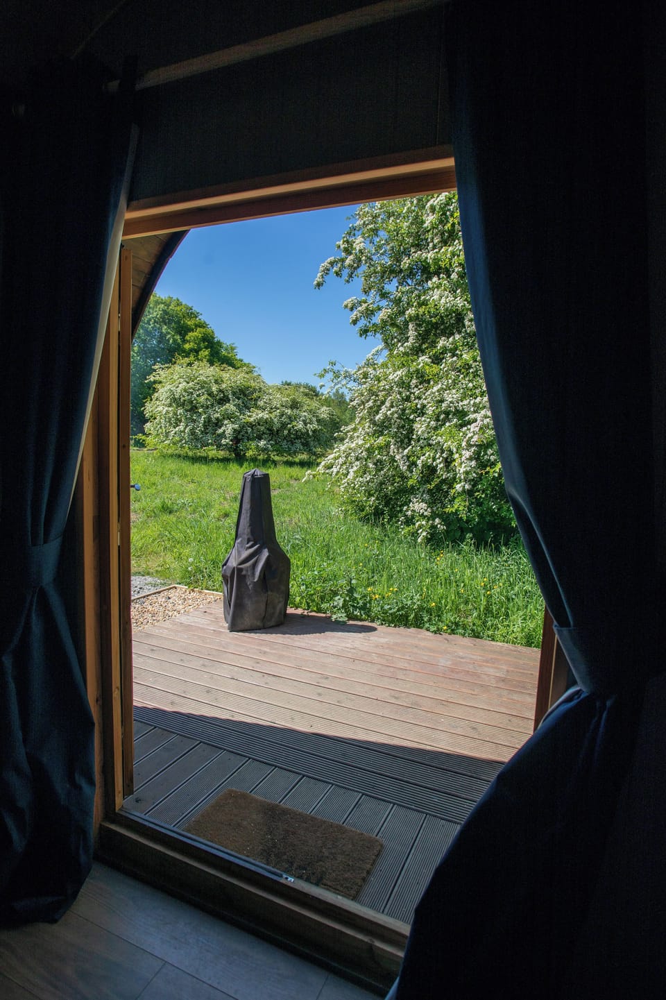 View from Cabin (1)