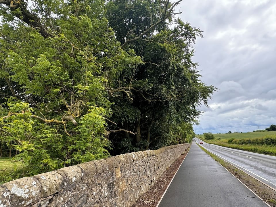 Main Road