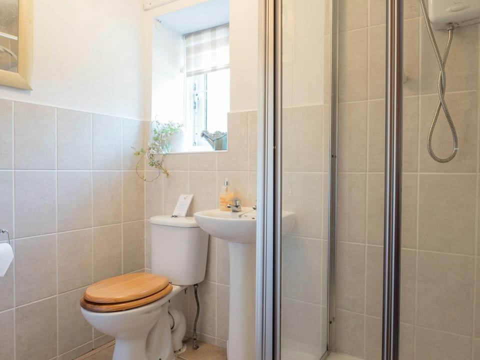 Walk in shower, WC and wash hand basin with wall mirror
