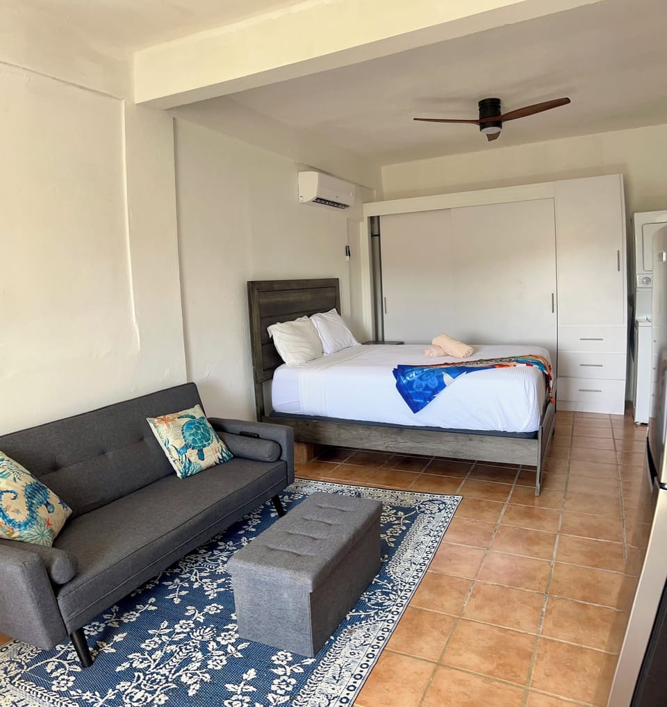 Downstairs Studio with Futon