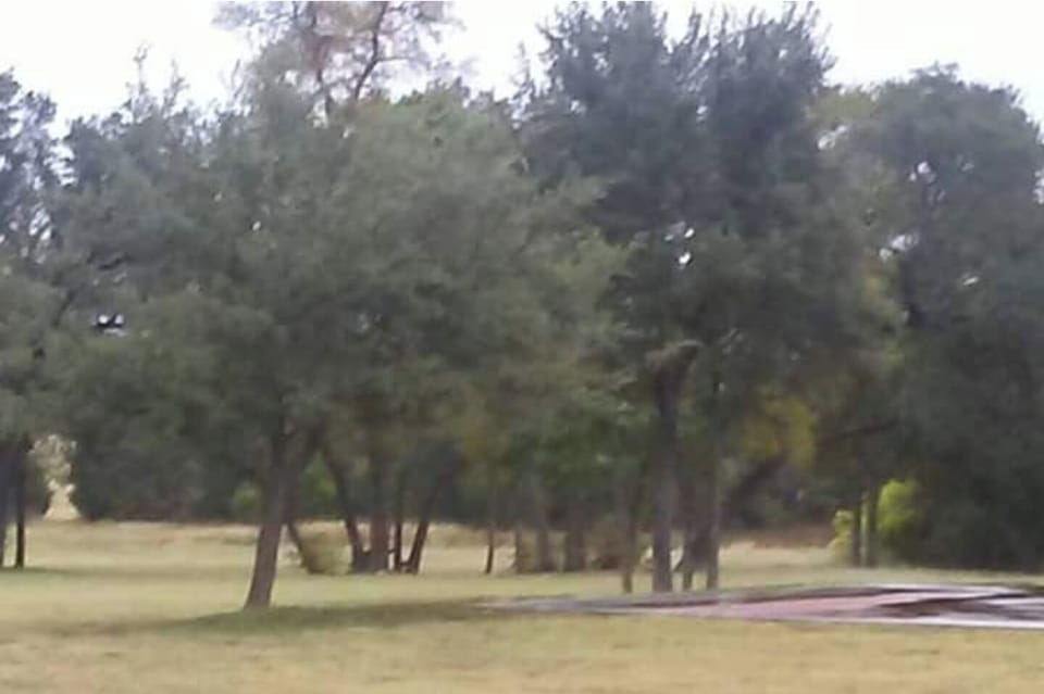 A nice walking path at the park.